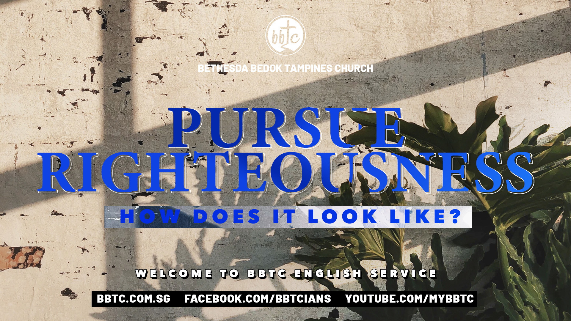 Pursue Righteousness – How Does It Look Like?