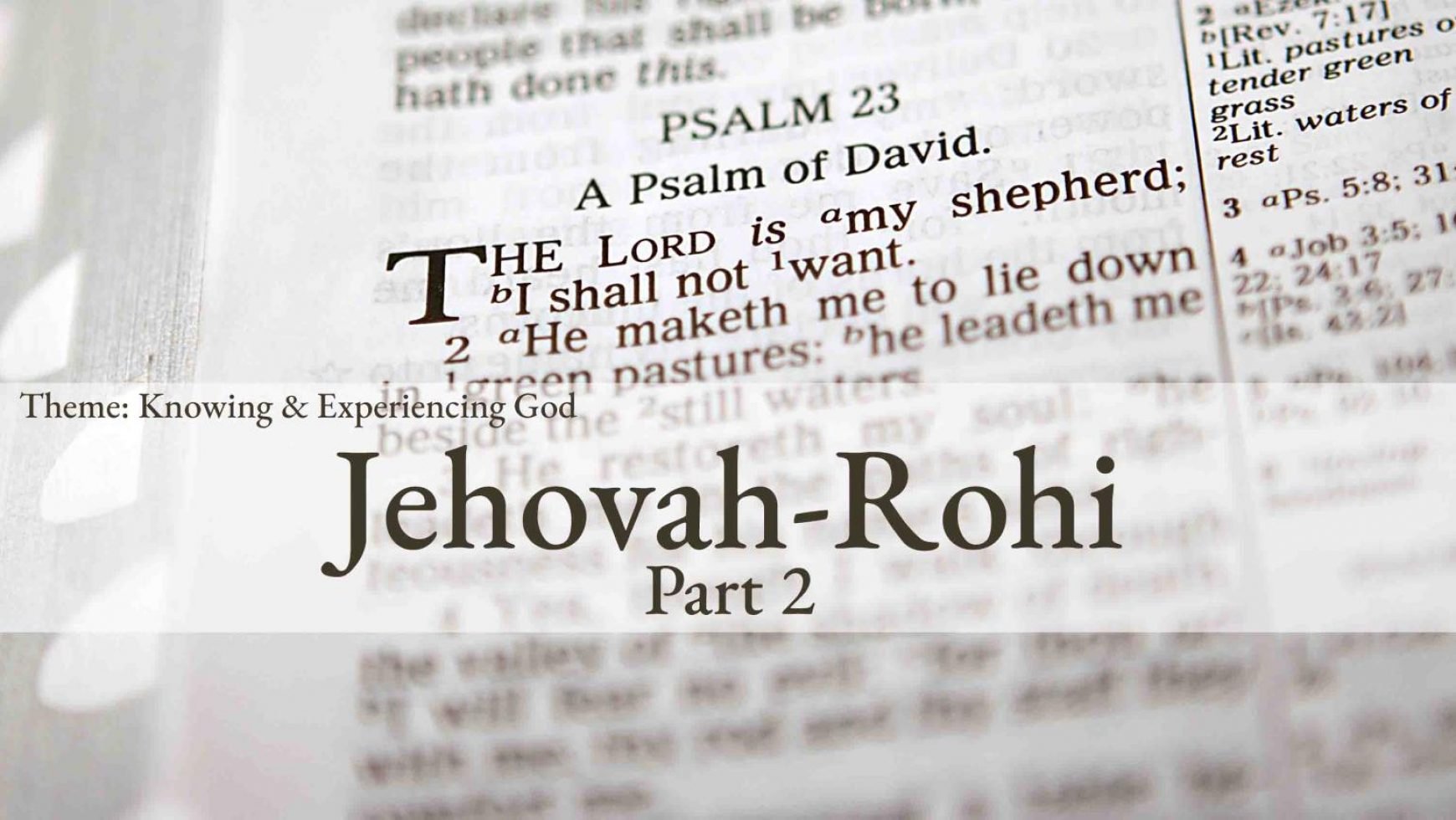 Jehovah-Rohi (Part 2)
