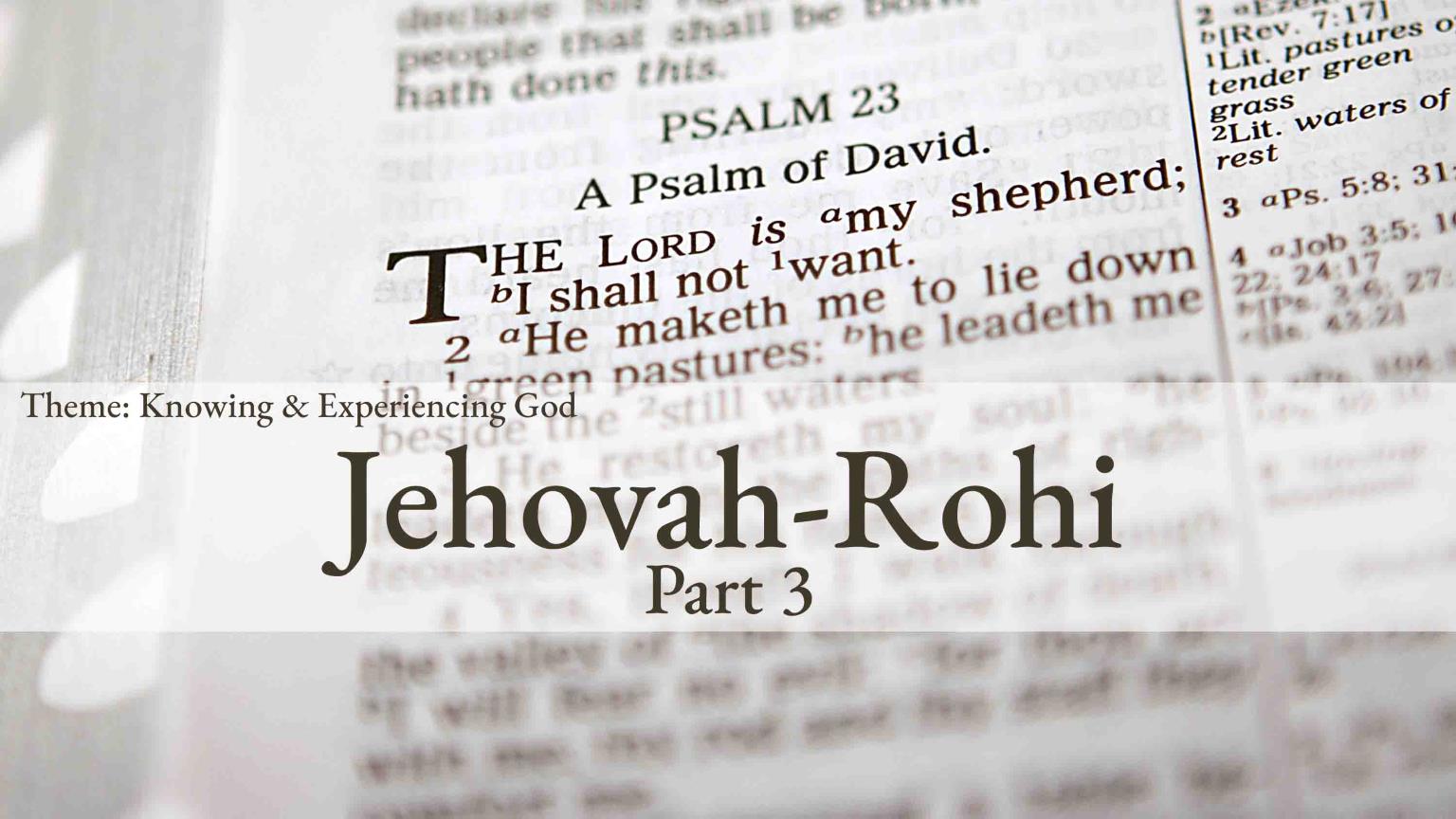 Jehovah-Rohi (Part 3)
