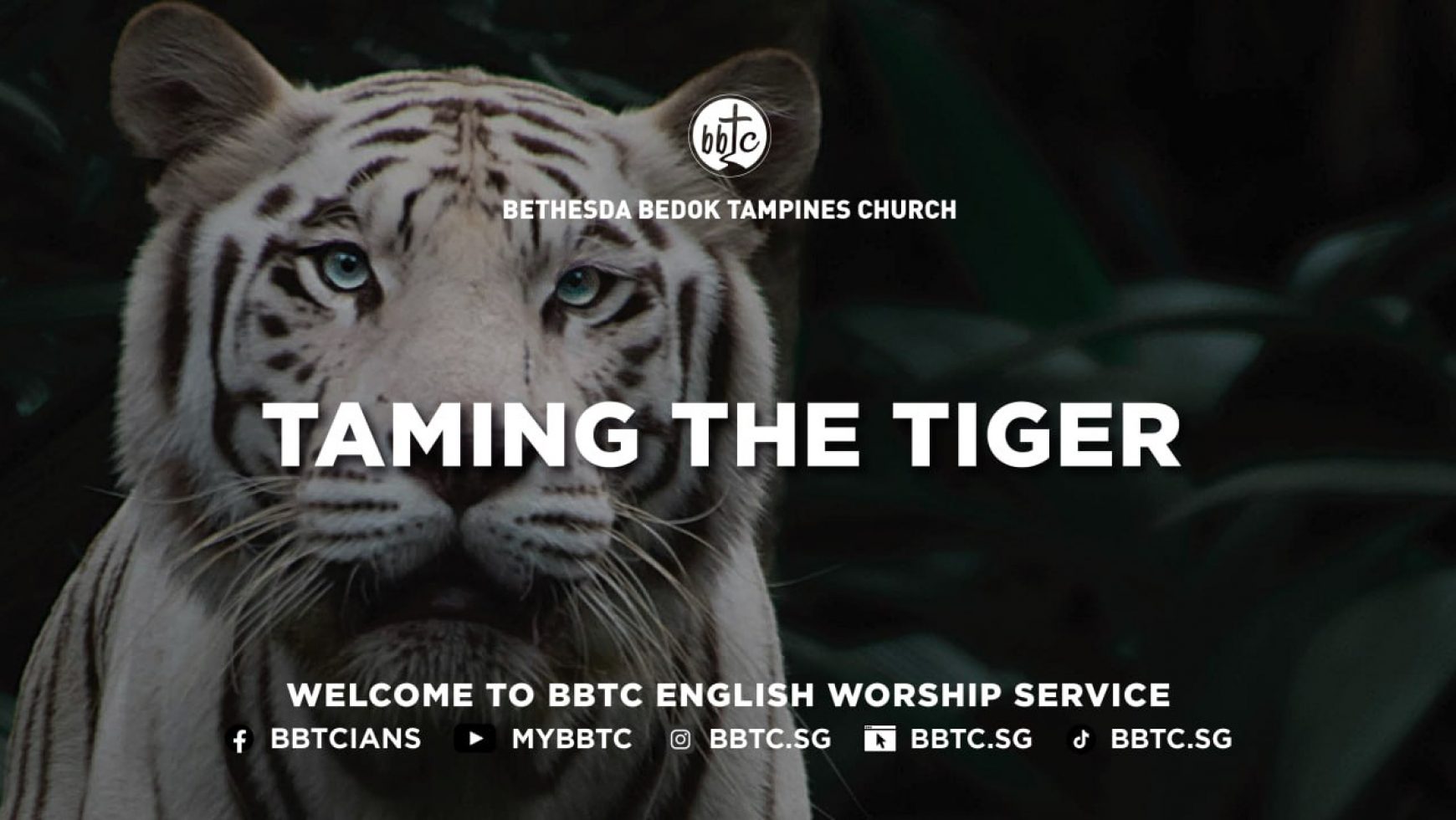 Taming The Tiger